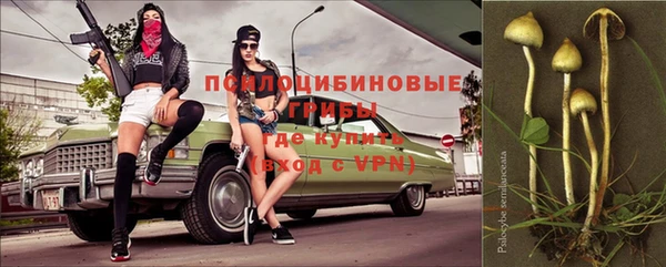 дмт Аркадак